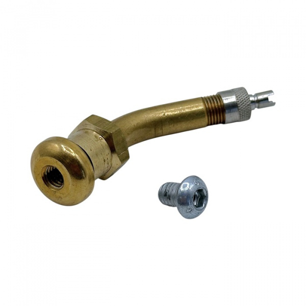 Вентиль TPMS-3.22.1 (АБ-58M) под датчик (Грузовой) РФ